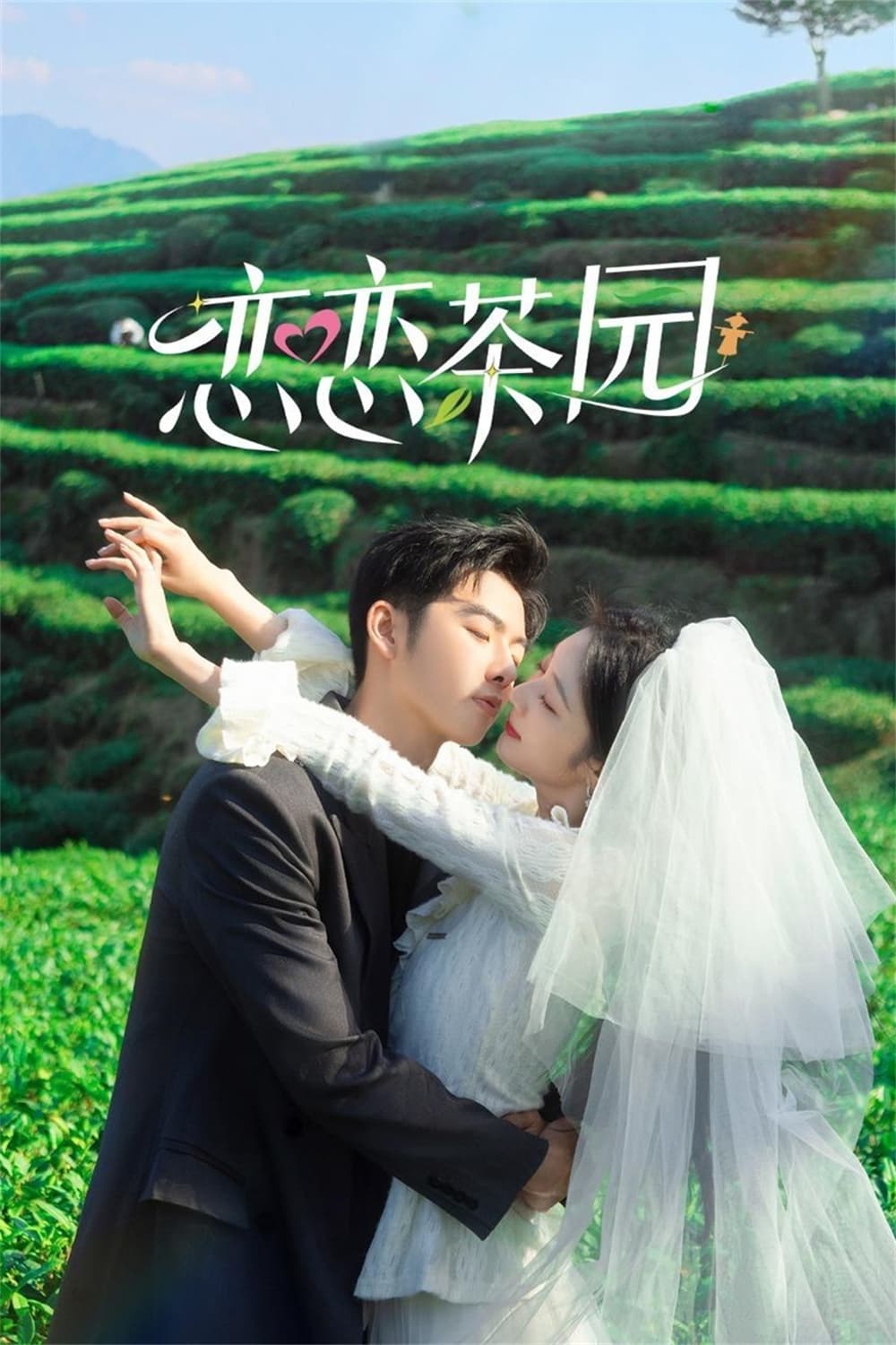 ซีรีส์ รักเกิดในสวนชา ซับไทย ครบทุกตอน ดูฟรี HD