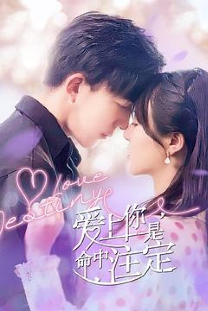 ซีรีส์ Love Destiny ซับไทย ครบทุกตอน ดูฟรี HD