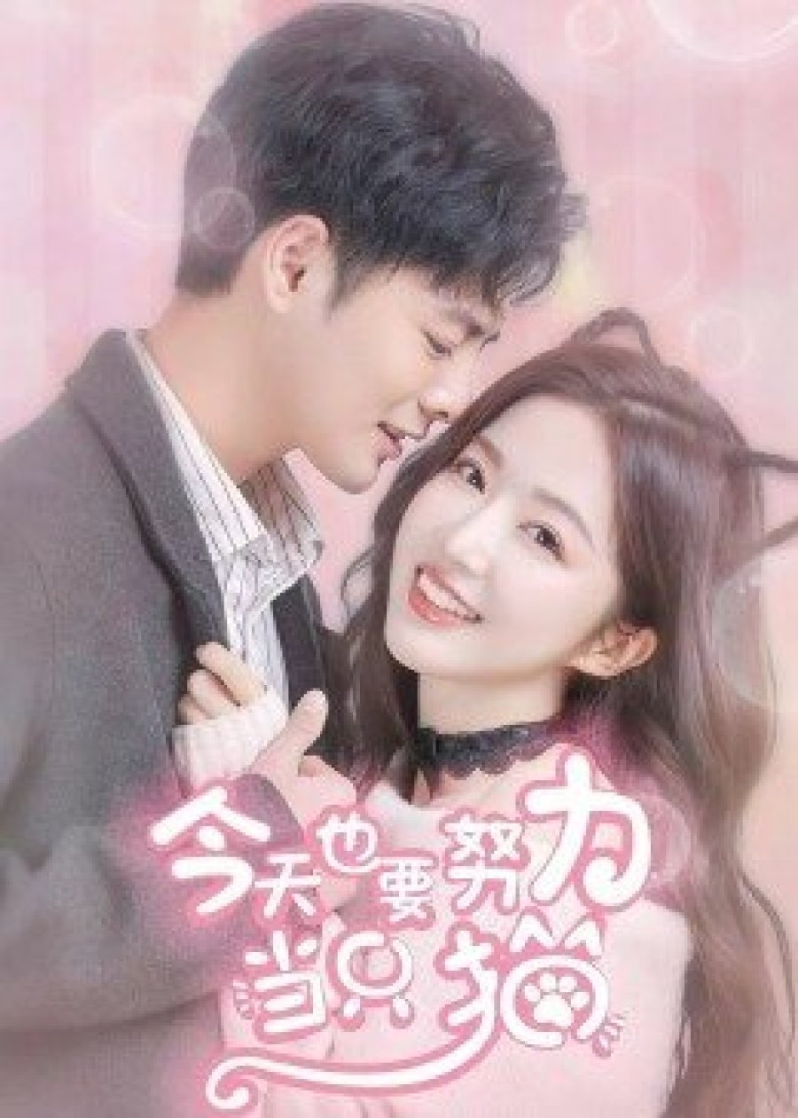 ซีรีส์ แมวเหมียวอย่างฉันไม่ตกหลุมรักนายหรอก ซับไทย ครบทุกตอน ดูฟรี HD