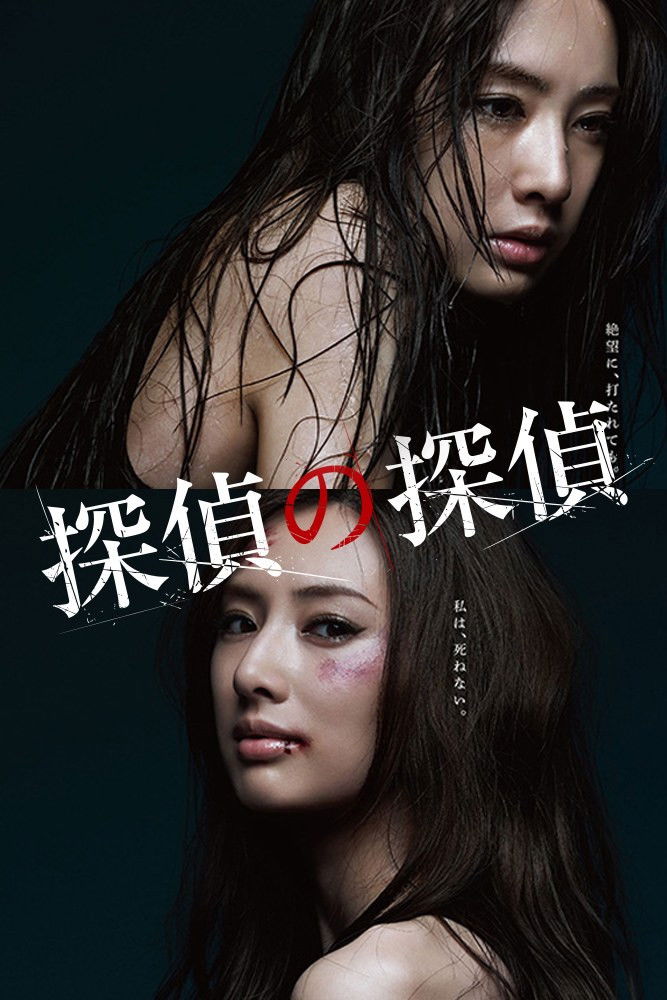 ซีรีส์ Detective versus Detectives ซับไทย ครบทุกตอน ดูฟรี HD