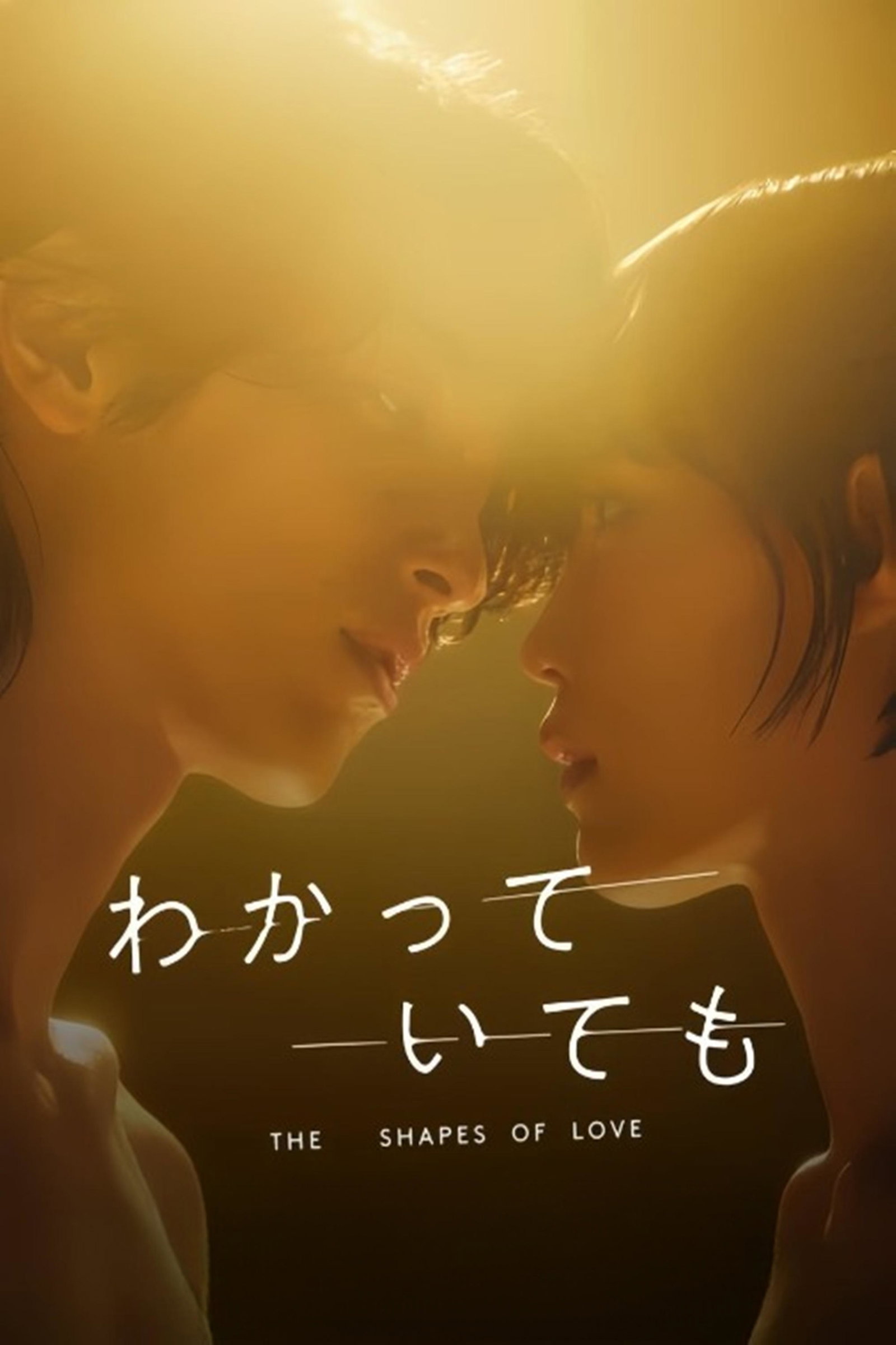 ซีรีส์ อย่างไรก็ตาม... เส้นสายลายรัก ซับไทย ครบทุกตอน ดูฟรี HD