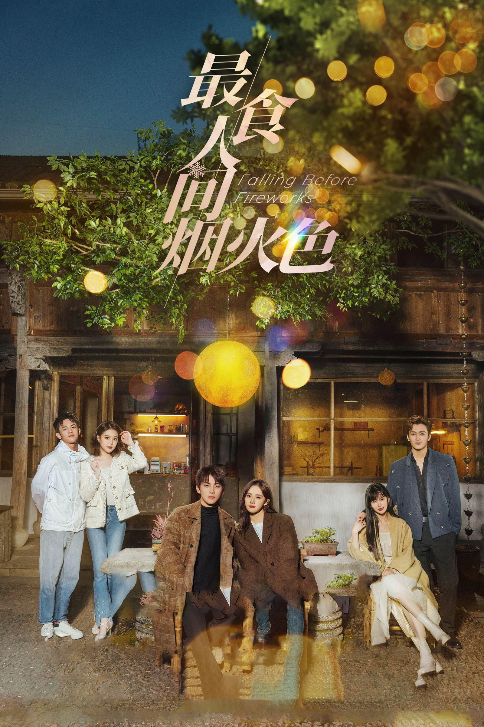 ซีรีส์ ดอกไม้ไฟแห่งรัก ซับไทย ครบทุกตอน ดูฟรี HD