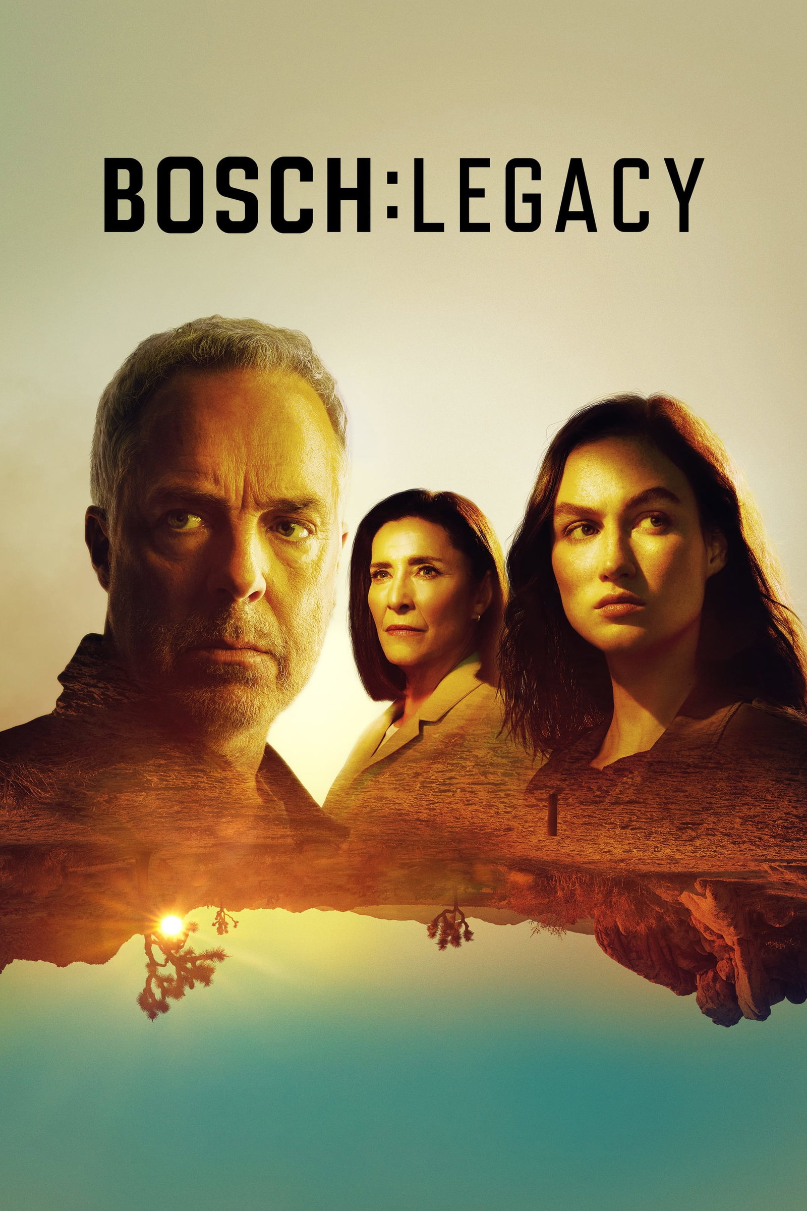 ซีรีส์ บอช ทายาทสืบเก๋า ซับไทย ครบทุกตอน ดูฟรี HD