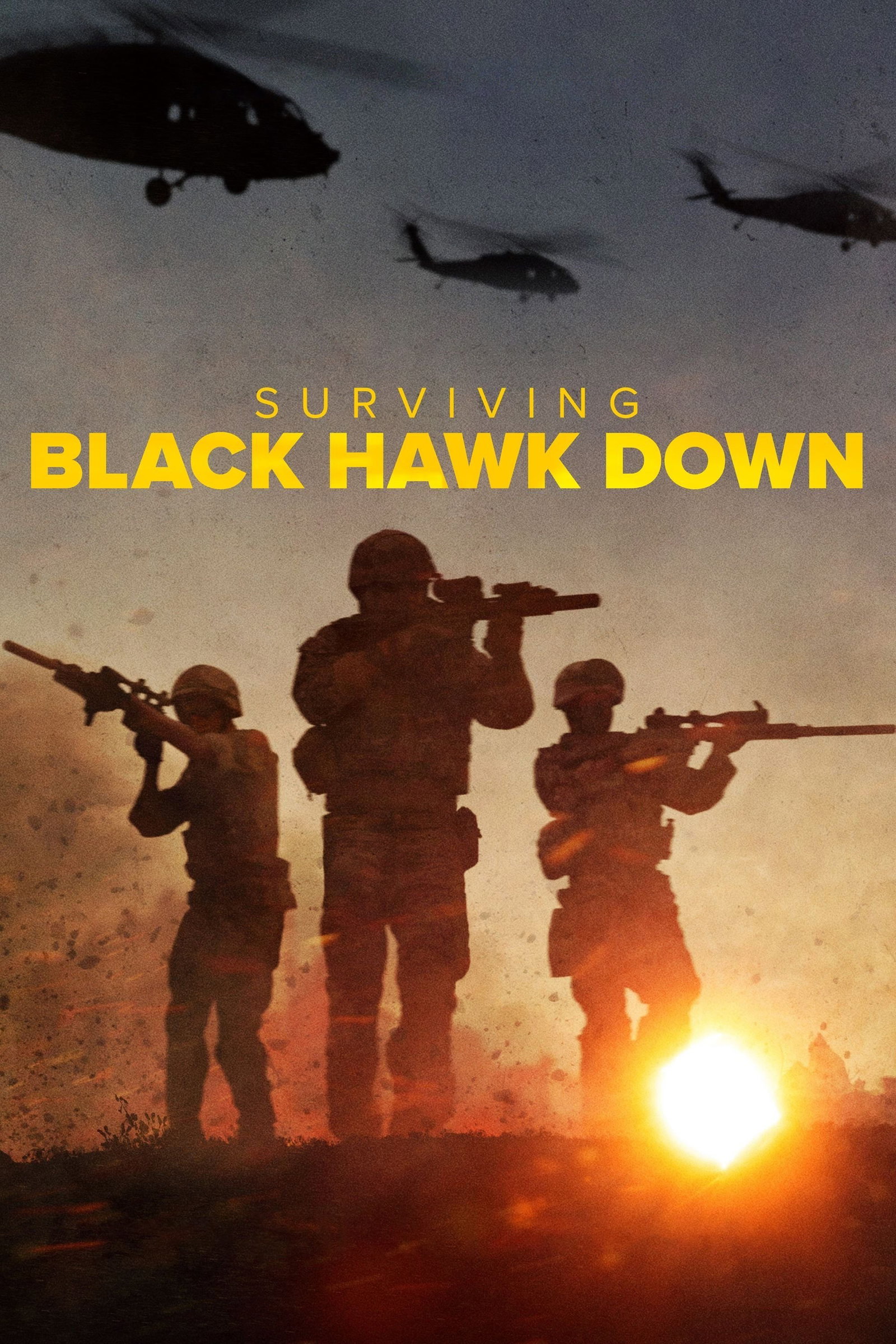 ซีรีส์ ฝ่าสมรภูมิแบล็ค ฮอว์ค ดาวน์ ซับไทย ครบทุกตอน ดูฟรี HD