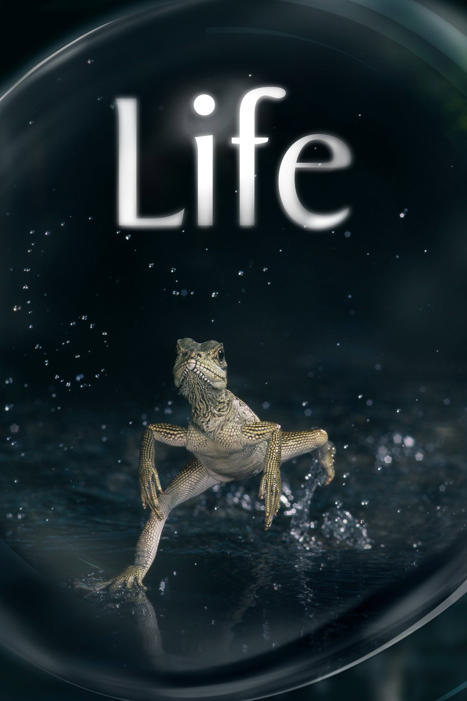 ซีรีส์ Life อัศจรรย์แห่งชีวิต ซับไทย ครบทุกตอน ดูฟรี HD