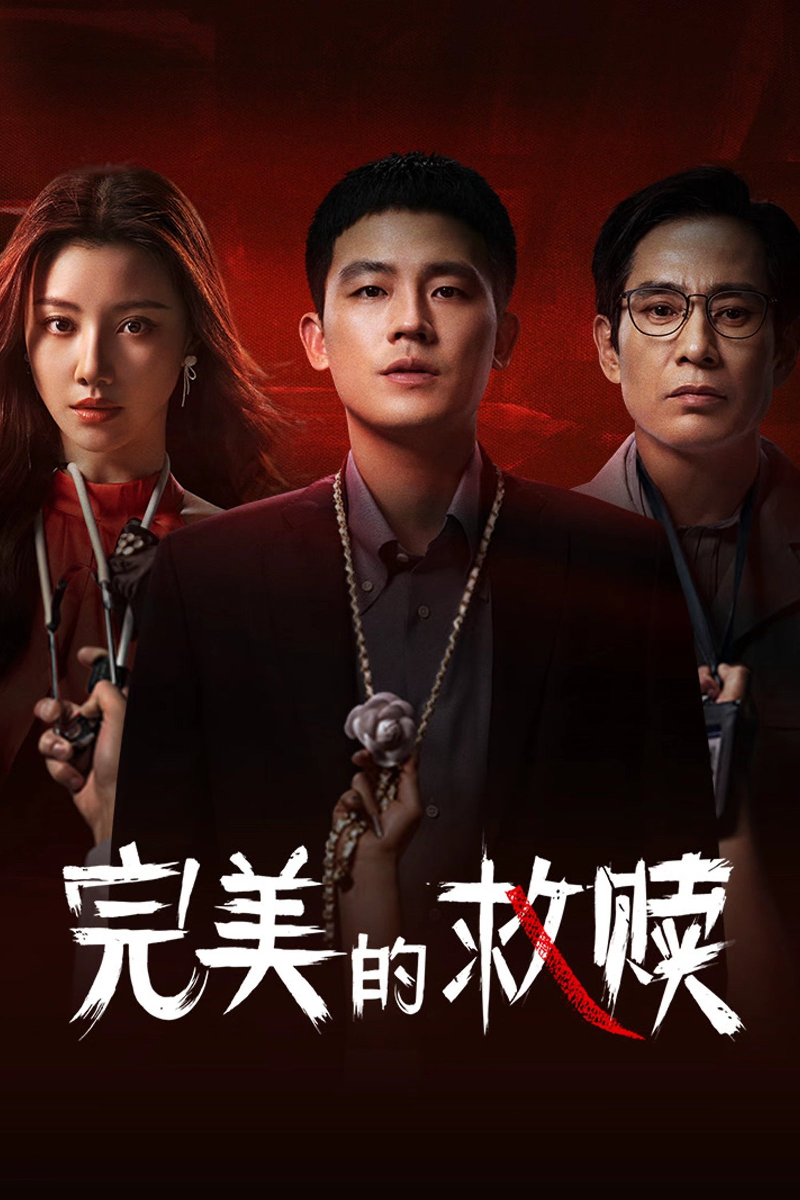ซีรีส์ ผู้ต้องสงสัยที่สมบูรณ์แบบ ซับไทย ครบทุกตอน ดูฟรี HD
