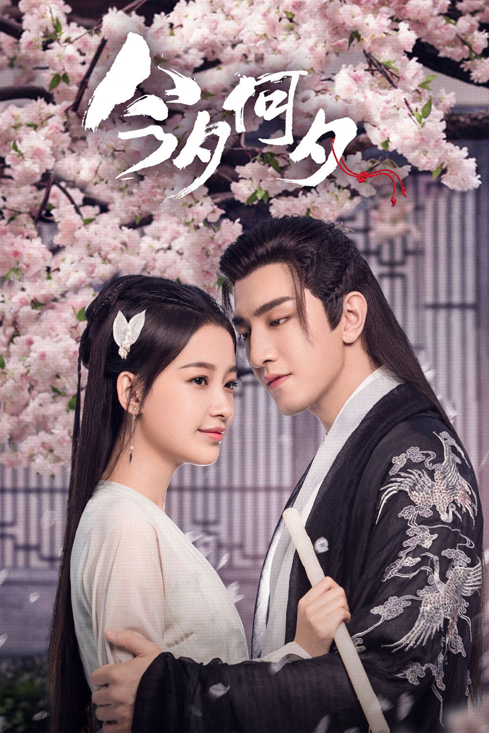 ซีรีส์ หวนชะตาฝ่าลิขิตรัก ซับไทย ครบทุกตอน ดูฟรี HD