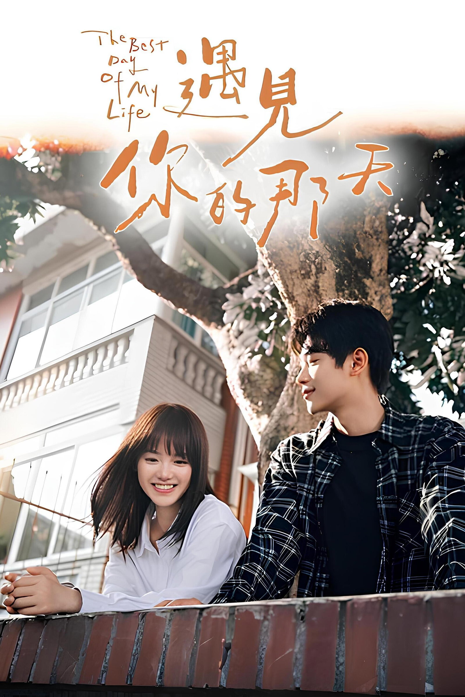 ซีรีส์ วันนั้นที่เราได้พบกัน ซับไทย ครบทุกตอน ดูฟรี HD